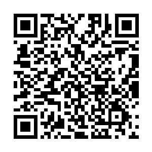 关键是人家主持小姐可是知道这枚蛋是庄主交给自己了二维码生成