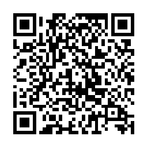 关键是你无法把这些疑点都给抹平到陛下一点都不怀疑二维码生成