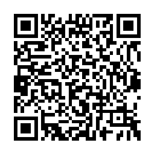 兵不以为然的声音从剑齿虎厚重的铠甲内传出来二维码生成