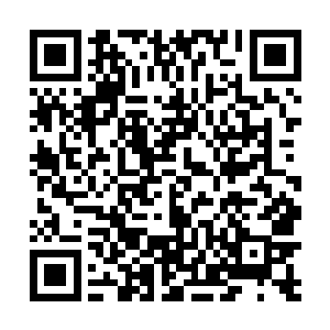 其中一个五十岁左右的老者上前一步指了指那只海妖兽二维码生成