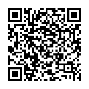 其中一个把满头长发染成七彩颜色的年轻人狞笑道二维码生成