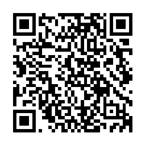 其中一个是什么都不知道只知道满足自己食欲的巫运之果原魂二维码生成