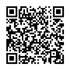 其中一个精致的长条花梨木盒子就给他亲自打开了二维码生成