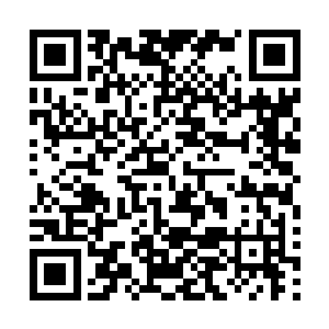 其中一个还是熟人――上次设岗哨与护送回乡的巡骑营火长二维码生成