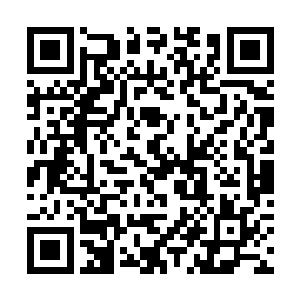 其中一些更是以飞奔的速度正在朝着这边大门冲过来二维码生成