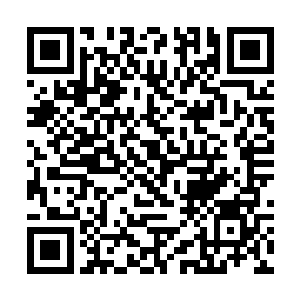 其中一人该不会是天元家族中传说中的鸣东鸣公子吧二维码生成