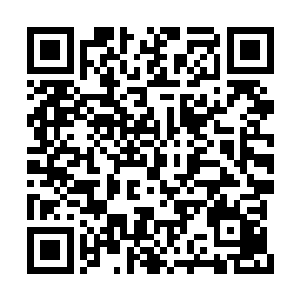 其中一位保镖情急下终于忍不住冲乘务长咆哮道二维码生成