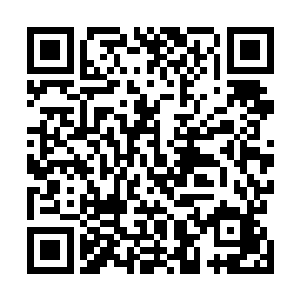 其中一位负责身穿制服的日本女人有些古怪的看了看叶枫二维码生成