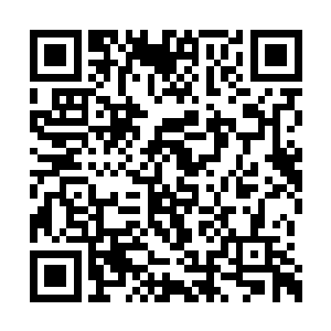 其中一名医生用着沉痛的语气道出了详细的答案二维码生成