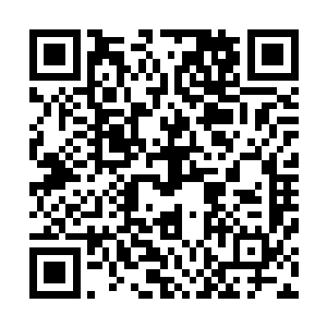 其中一头最高大的雪狼背上坐着个漂亮的不像是真人的凌菲二维码生成