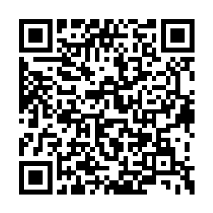 其中公孙宏远和公孙宏飞赫然都是金丹期修真者二维码生成