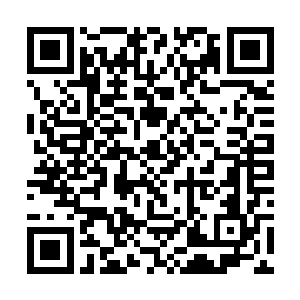 其中包括大战过后存活下来的那六个妖王级别飞火蚁二维码生成