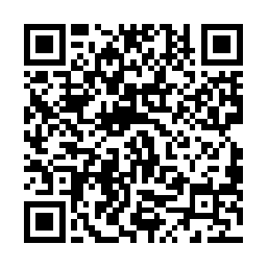 其中原联这种冷静客观得好像机器人一样的性格肯定排除二维码生成