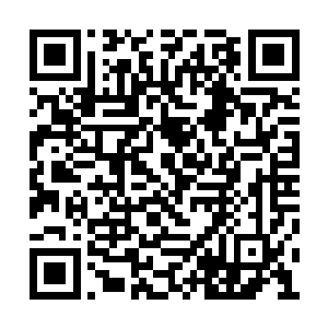 其中只关于种植一项就密密麻麻差不多有两千字二维码生成