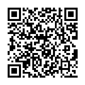 其中威力丝毫不弱于赫连春那当空而下的烈炎拳二维码生成