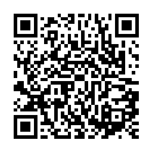 其中娜塔莎爱喝酒的安德鲁舅舅更是把牢底坐穿的那种政治惯犯二维码生成