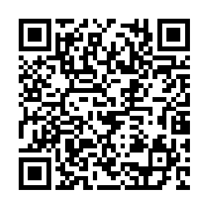 其中实力最弱的敖刃控制的那堵水墙便坍塌了下来二维码生成