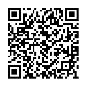 其中寄居了一个曾经是半步界王的强者的灵魂吧二维码生成