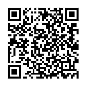 其中小羽蛇怪趴在一只高大雄壮的死去的羽蛇怪身上二维码生成