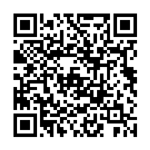 其中恐怖的波动就算是罗子强等人也可以感到那中压力二维码生成