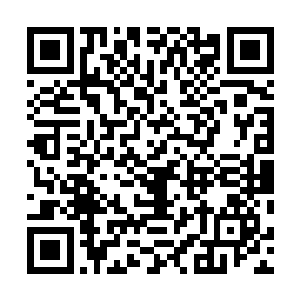 其中更有两头实力至少相当于人族长生境八阶强者的银狼二维码生成