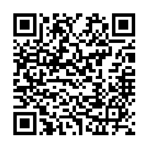 其中最为出名的是姜鲁豫的老师佐佐木的忍术最为出名二维码生成