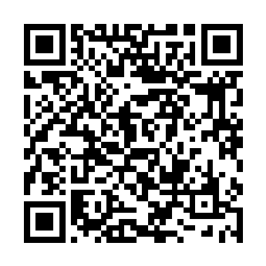 其中最为瑰丽夺目的便要数从云州移植过来的牡丹了二维码生成