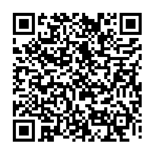 其中最值得大家津津乐道的便是他在夏季赛首周对阵王族战队的那场比赛中二维码生成