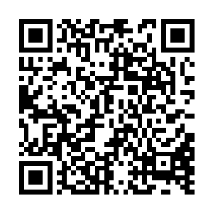 其中最火的就是天蛇王的天蛇胆和洛离的先天灵宝二维码生成