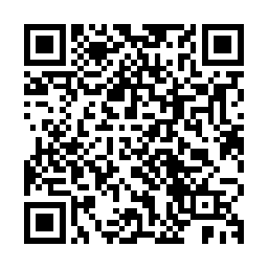 其中最著名的一起案件就是宋城区老闸桥桥头的那片土地归宿权二维码生成