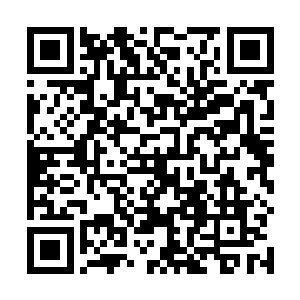 其中最重要的一条就是不准许任何人把尸体挂在悬崖上二维码生成