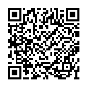 其中有一个人更是已经达到了万虚境初期境界了二维码生成