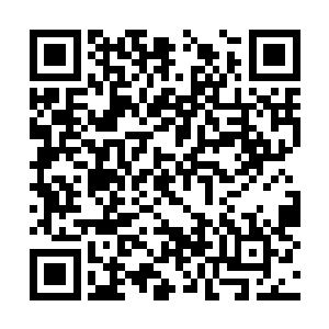 其中有不少人是和夏天兄弟俩一样带着大包小包的二维码生成