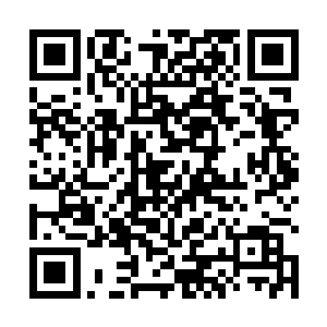 其中的一个修士转头望了一眼旁边那个披着披风的修士二维码生成