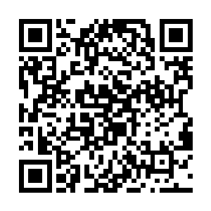 其中的一个证据就是其他妃嫔所出的皇子都没有养活二维码生成