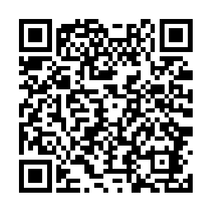 其中的五十个修士身上释放着强大的仙君期的威能二维码生成