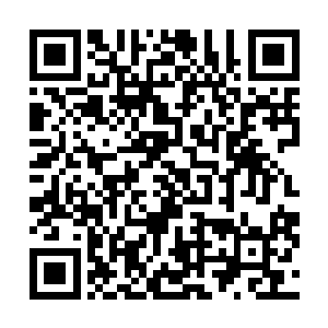 其中赫然有之前的时候跟杨戬一起进入上古战场的几个人二维码生成