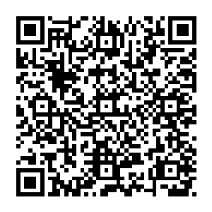 其中那四千多的上品血红皮的莲子也被雪如楼分开单独用一只空的特制小丹瓶装着二维码生成