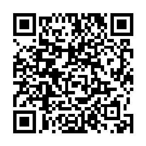 其他两个处的人都是不解的看向苏海市特别行动处的处长二维码生成