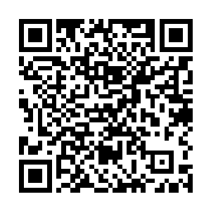 其他五人几乎无分先后的把手中青牛金令向那巨掌抛去二维码生成