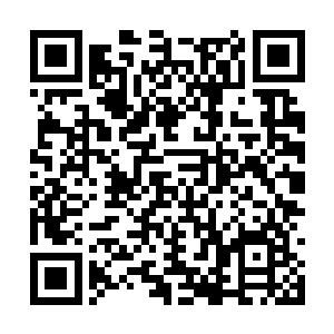 其他人也都是以看鬼神一般的敬畏眼神看着古菲菲二维码生成