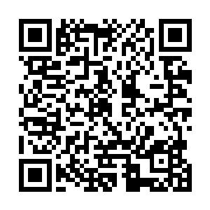 其他人她以最快的速度挨个排除过去都没有一个有可能的二维码生成