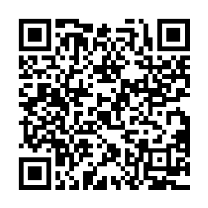 其他人完全不知道这位大神已经曾在陵都酱油过几次了二维码生成