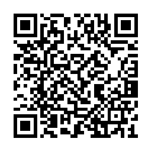 其他人根本就不知道黑夫人几个早就打定了主意二维码生成