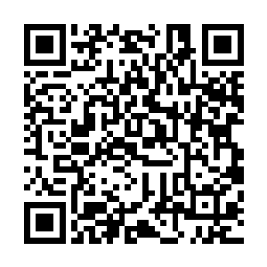其他人谁知道该找北京林业大学园林系的孟教授来做规划呢二维码生成