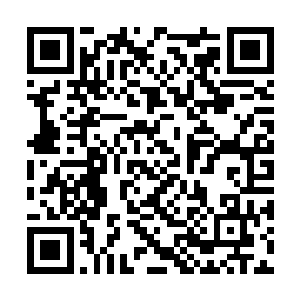 其他人都神色严肃的一人取了一只蒲团坐到灵脉旁二维码生成