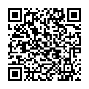 其他几个曾被少年重伤的族人也都屏声静气不敢说话二维码生成