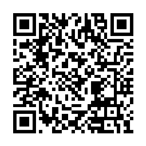 其他十三个天火的佣兵却没有一个站出来说话的二维码生成