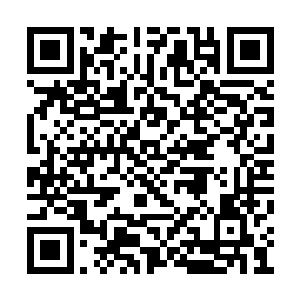 其他四座殿宇之人谁会不对这一届天才感兴趣的二维码生成