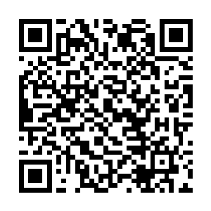 其他峰主突然决定回归让得阳一被打了一个措手不及二维码生成